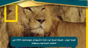 تنويه اليوم.. طريقة ضبط تردد قناة ناشيونال جيوغرافيك 2025 على الأقمار الصناعية بسهولة